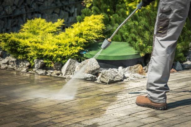 Best Animal Enclosure Cleaning  in Sebastian, FL
